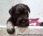 female, 08.05.11.  