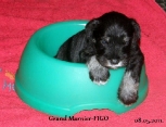 male-FIGO, 08.05.11.