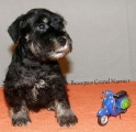 Male,28.05.2011.