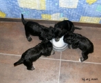 This food is very tasty...   