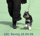 CAC Rovinj,18.4.09. Katman