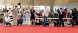 World Dog Show,Denmark -Herning Točkica 
