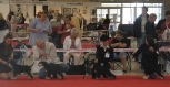 World Dog Show,Denmark -Herning Točkica 