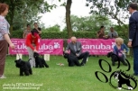 Lulica,CLUB DOG SHOW, 21.05.12.