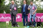 Nuuk & Tockica,CLUB DOG SHOW, 21.05.12.